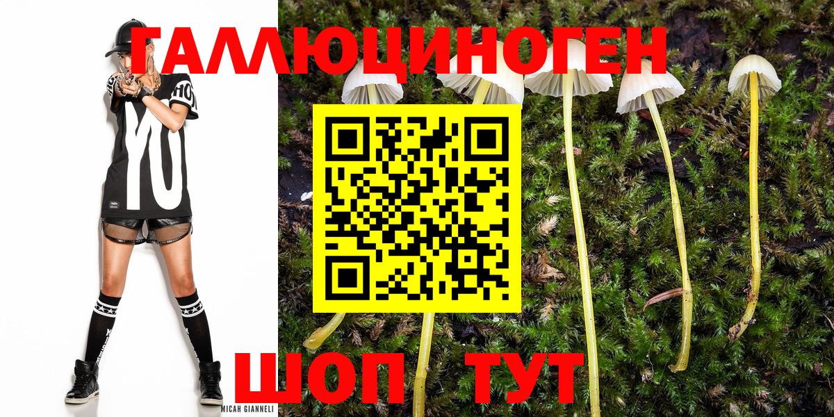 Галлюциногенные грибы мухоморы Учалы