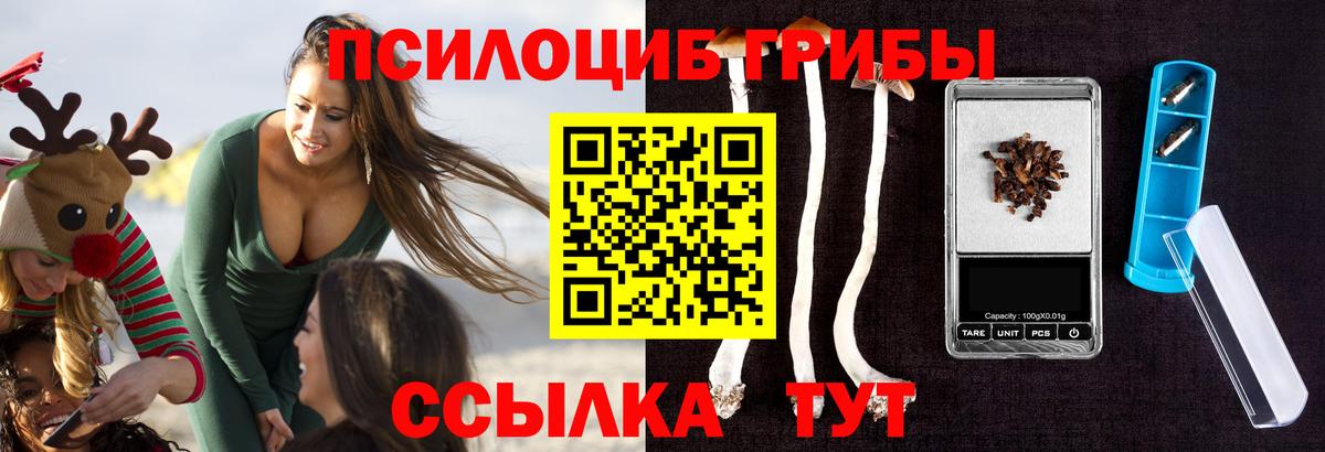 Псилоцибиновые грибы Psilocybine cubensis  Галлюциногенные грибы GOLDEN TEACHER  Учалы  Вход с VPN 